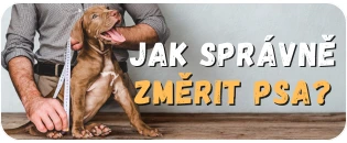 jak-zmerit-psa-psikralovstvi-cz
