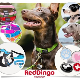 ✨ Psí království nabízí kolekci značky RED DINGO – originální australské produkty, které vynikají kvalitou i designem! ✂ 🐶...