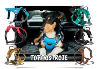 ✨ V Psím království najdeš vysoce kvalitní a super oblíbené postroje značek HURTTA, Non-stop Dogwear, KURGO a další! 🐾...