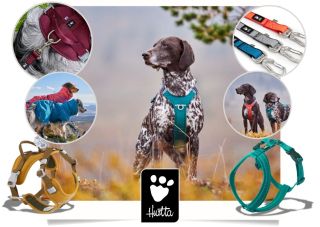 🐾 Hurtta – styl a pohodlí pro každého psa! 🐶💨 Postroje, oblečky, pláštěnky i obojky v top kvalitě a originálním designu....