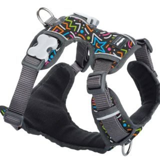 RED DINGO nás baví 😍 Australská značka RED DINGO provázela všechny naše psy od stěněcího věku ☝️ Nové vymazlené vzory,...